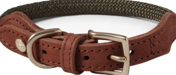 Denjo Dogs Torekov kaulapanta, M - XL, Shimmer Green| Kaulapannat