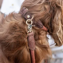 Denjo Dogs Torekov kaulapanta XS - S, Rusty Bronze| Kaulapannat