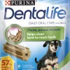Dentalife Makupalat^Small purutikku, 10 x 49g