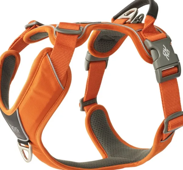 DOG Copenhagen Valjaat^Comfort Walk Pro Harness koiran valjaat, L-XL, Orange Sun