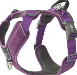 DOG Copenhagen Valjaat^Comfort Walk Pro Harness koiran valjaat, S-M, Purple Passion