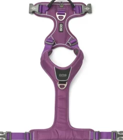 DOG Copenhagen Valjaat^Comfort Walk Pro Harness koiran valjaat, S-M, Purple Passion