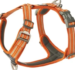 DOG Copenhagen Comfort Walk Air Harness koiran valjaat, XS, Orange Sun| Valjaat