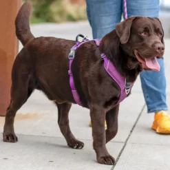 DOG Copenhagen Comfort Walk Pro Harness koiran valjaat, L-XL, Hunting Green| Valjaat