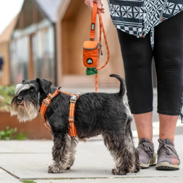 DOG Copenhagen Valjaat^Comfort Walk Air Harness Lemon XS