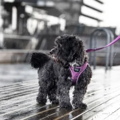 DOG Copenhagen Valjaat^Comfort Walk Go Harness koiran valjaat, M, Mocca