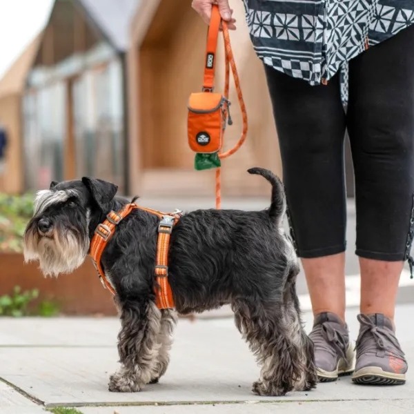 DOG Copenhagen Comfort Walk Air Harness koiran valjaat, XS, Purple Passion| Valjaat