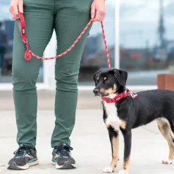 DOG Copenhagen Koirankakkapussit^Flexy Poop Bag Holder Lemon