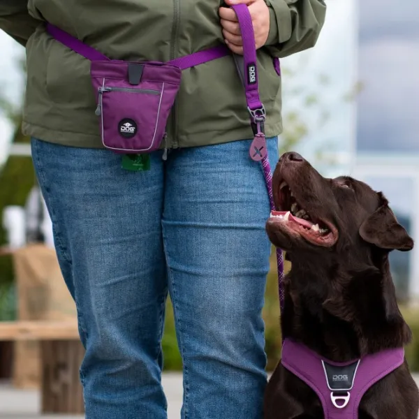 DOG Copenhagen Flexy Poop Bag Holder koirankakkapussin pidike, Mocca| Koirankakkapussit