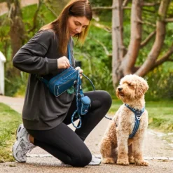 DOG Copenhagen Go Explore Belt Bag vyölaukku, Black| Koiranomistajan Tarvikkeet