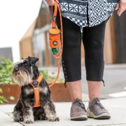 DOG Copenhagen Pouch Organizer Leash Bag Lemon| Koirankakkapussit