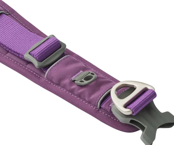 DOG Copenhagen Kaulapannat^Urban Explorer Collar kaulapanta, Purple Passion