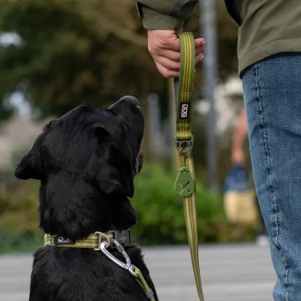 DOG Copenhagen Taluttimet^Urban Freestyle Leash talutushihna, Purple Passion