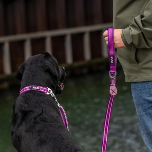 DOG Copenhagen Taluttimet^Urban Freestyle Leash talutushihna, Purple Passion