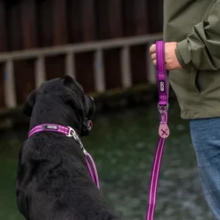 DOG Copenhagen Urban Freestyle Leash Lemon| Taluttimet