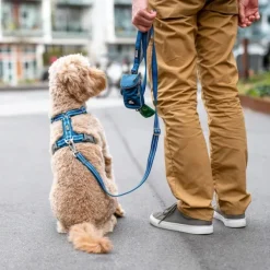 DOG Copenhagen Urban Freestyle Leash Desert Dune| Taluttimet