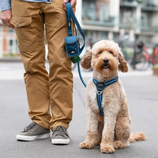 DOG Copenhagen Taluttimet^Urban Freestyle Leash talutushihna, Black