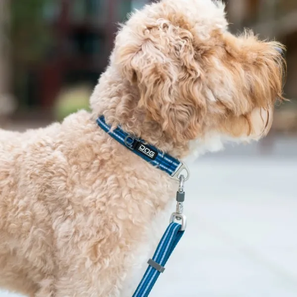 DOG Copenhagen Kaulapannat^Urban Style Collar Desert Dune