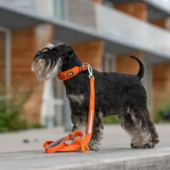 DOG Copenhagen Taluttimet^Urban Trail Leash talutushihna, Mocca