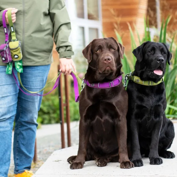 DOG Copenhagen Taluttimet^Urban Trail Leash talutushihna, Hunting Green