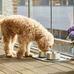 DOG Copenhagen Vega Bowl koirankuppi, M/L, Steel| Koirankupit