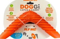 DOGGI Catch & Carry Boomerang| Aktivointilelut
