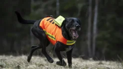 DogTech Koiran Metsästys- Ja Suojaliivit^HiVis Vest koirien huomioliivi