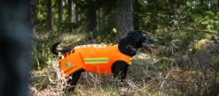 DogTech Koiran Metsästys- Ja Suojaliivit^One Generation 2 Bundle Orange