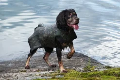 DogTech Liivit^Retriever neopreeniliivi, Camo