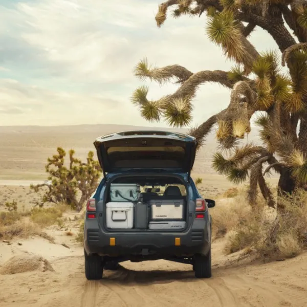 Dometic Portable Gear Storage 10L Insulation eristävä lisäosa suojapussille, tummanharmaa| Olkalaukut