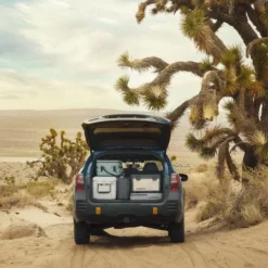 Dometic Portable Gear Storage 20L Insulation eristävä lisäosa säilytyspussiin, tummanharmaa| Olkalaukut