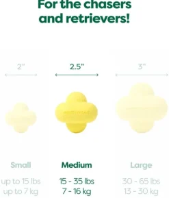 Earth Rated Aktivointilelut^Fetch Toy koiranlelu, Medium