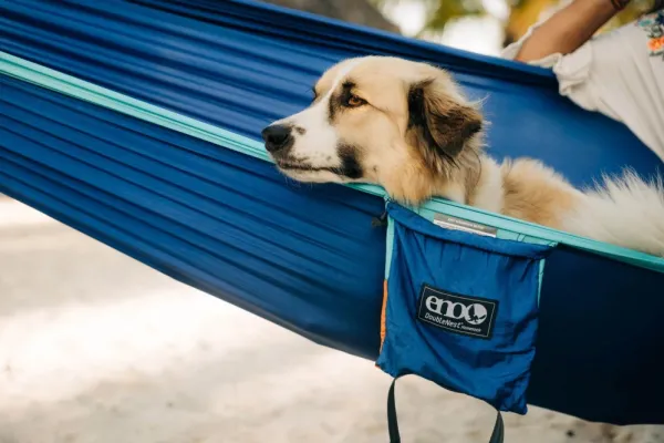 Eno Hammock Riippumatot^Eno DoubleNest Bluesign kahden hengen riippumatto, oliivi/oranssi