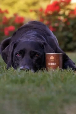 ESSENTIAL FOODS Koiran Märkäruoka^Older Pâté 6 x 400 g