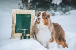 ESSENTIAL FOODS Superior Living Pâté 6 x 400 g| Koiran Märkäruoka