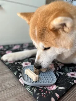 Fiboo Iceboo jäätelömuotti, sininen| Makupalat