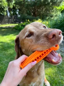 Fiboo kelluva aktivointilelu, 19 cm, oranssi| Aktivointilelut