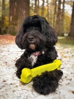 Fiboo kelluva aktivointilelu, 19 cm, keltainen| Aktivointilelut