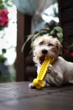 Fiboo kelluva aktivointilelu, 19 cm, keltainen| Aktivointilelut