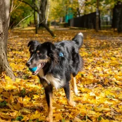Fiboo Aktivointilelut^kelluva aktivointipallo, sininen
