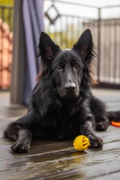 Fiboo Aktivointilelut^kelluva aktivointipallo, keltainen