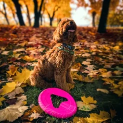 Fiboo kelluva frisbee, 25 cm, sininen| Noutolelut