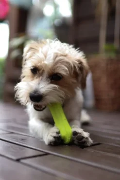 Fiboo Noutolelut^kelluva lelu, 15 cm, keltainen