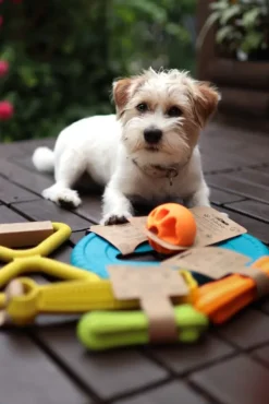 Fiboo Noutolelut^kelluva lelu, 19 cm, sininen