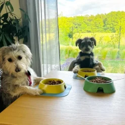 Fiboo Koirankupit^koirankuppi, 200ml, vihreä