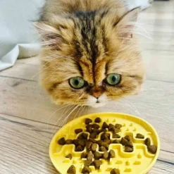 Fiboo Lollipop Mini ruokamatto, 13 cm, keltainen| Aktivointilelut