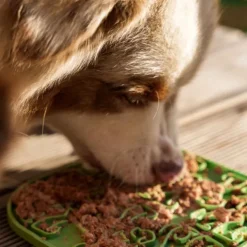 Fiboo Lollipop ruokamatto, 19 cm, vihreä| Aktivointilelut