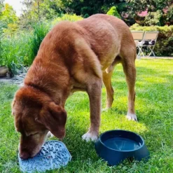 Fiboo Lollipop ruokamatto, 19 cm, keltainen| Aktivointilelut