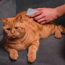 Fiboo Turkinhoito^pesuharja