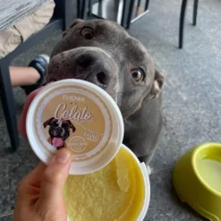 Fidovet Makupalat^koirien jäätelö Gelato Ananas 40g